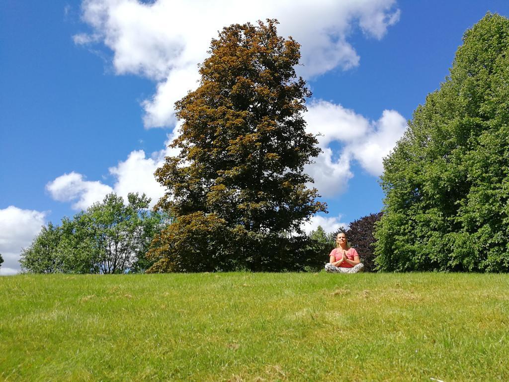 Naeaes Slott Guest House Floda  Bagian luar foto